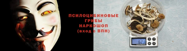 СК Инсар