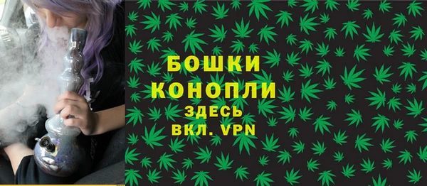 МДПВ Инта