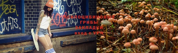 СК Инсар