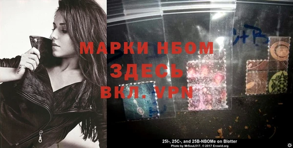 МДПВ Инта