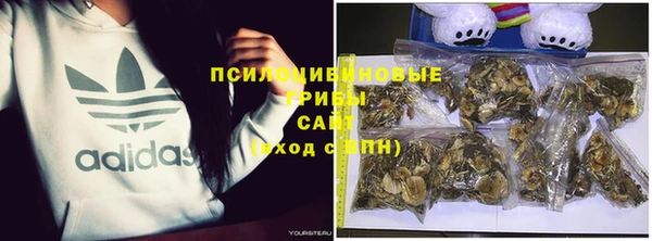 СК Инсар