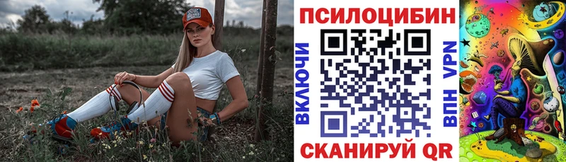 Галлюциногенные грибы MAGIC MUSHROOMS  Купить где  Торжок 